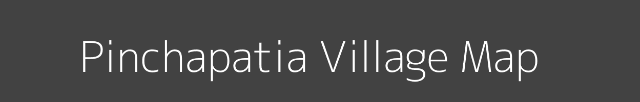 Map of Pinchapatia Village in Odisha Image