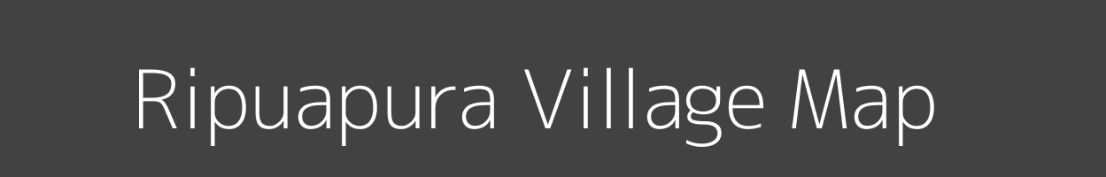 Map of Ripuapura Village in Madhya Pradesh Image
