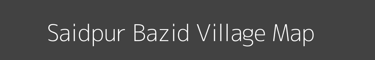 Map of Saidpur Bazid Village in Bihar Image