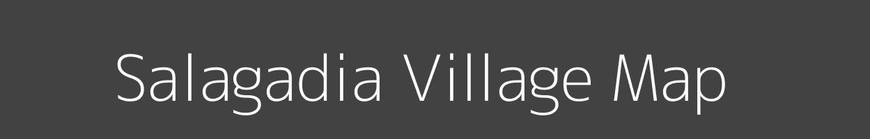 Map of Salagadia Village in Odisha Image