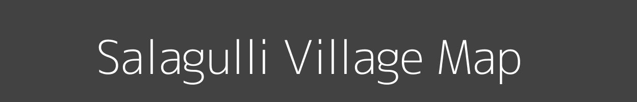 Map of Salagulli Village in Madhya Pradesh Image