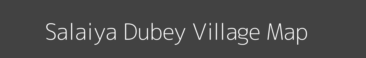 Map of Salaiya Dubey Village in Madhya Pradesh Image