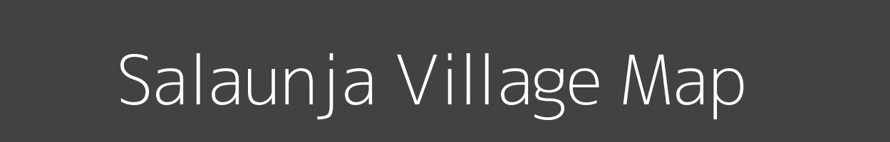 Map of Salaunja Village in Bihar Image