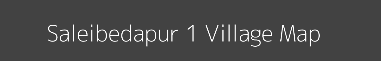 Map of Saleibedapur 1 Village in Odisha Image