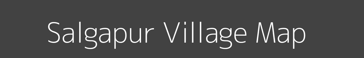 Map of Salgapur Village in Madhya Pradesh Image