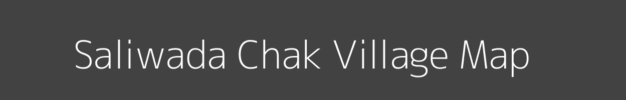 Map of Saliwada Chak Village in Madhya Pradesh Image