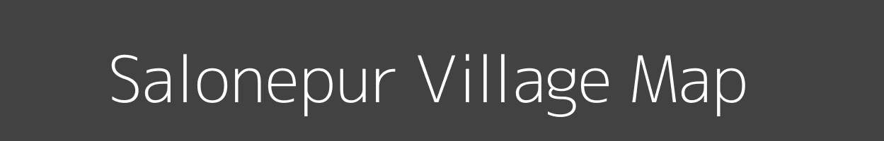 Map of Salonepur Village in Bihar Image