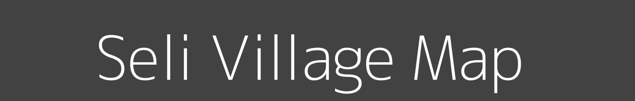 Map of Seli Village in Madhya Pradesh Image