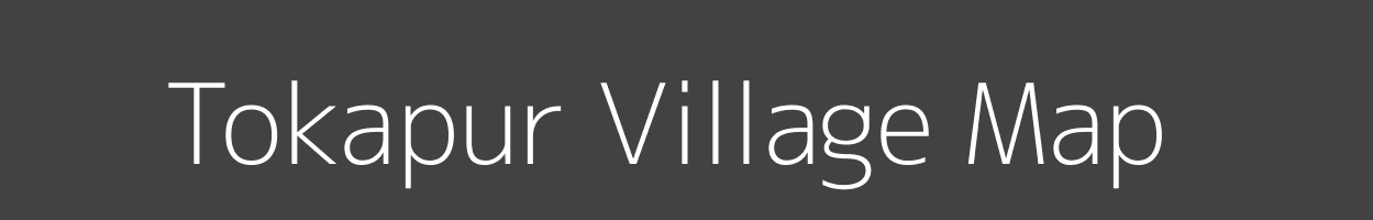 Map of Tokapur Village in Karnataka Image