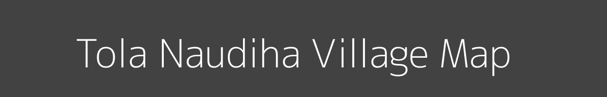 Map of Tola Naudiha Village in Bihar Image