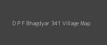 D P F Bhagdyar 341 Village MAP Image