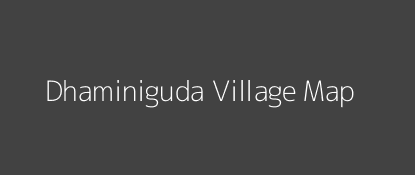 Dhaminiguda Village MAP Image