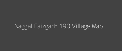 Naggal Faizgarh 190 Village MAP Image