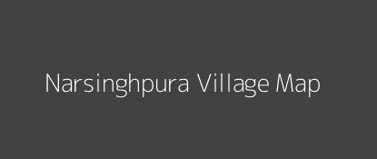 Narsinghpura Village MAP Image