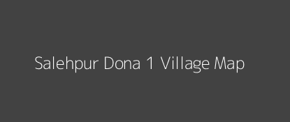 Salehpur Dona 1 Village MAP Image