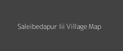 Saleibedapur Iii Village MAP Image