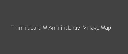 Thimmapura M Amminabhavi Village MAP Image