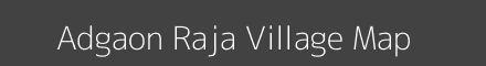 Adgaon Raja village map with survey numbers in Maharashtra Image
