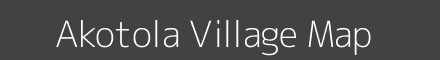 Akotola village map with survey numbers in Maharashtra Image