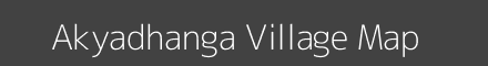 Akyadhanga village map with survey numbers in Madhya Pradesh Image