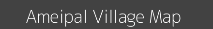 Ameipal village map with survey numbers in Odisha Image