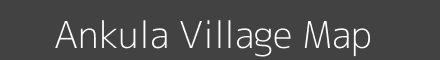 Ankula village map with survey numbers in Odisha Image