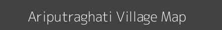 Map of Ariputraghati Village in Odisha Image
