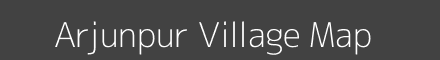 Arjunpur village map with survey numbers in Odisha Image
