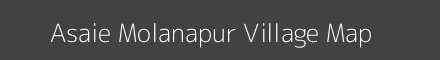 Asaie Molanapur village map with survey numbers in Uttar Pradesh Image