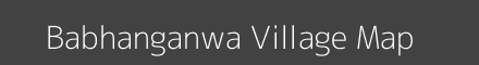 Babhanganwa village map with survey numbers in Bihar Image