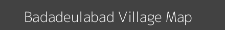 Badadeulabad village map with survey numbers in Odisha Image