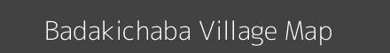 Badakichaba village map with survey numbers in Odisha Image
