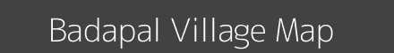 Badapal village map with survey numbers in Odisha Image