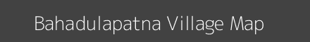 Bahadulapatna village map with survey numbers in Odisha Image