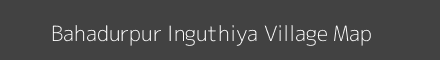 Bahadurpur Inguthiya village map with survey numbers in Uttar Pradesh Image
