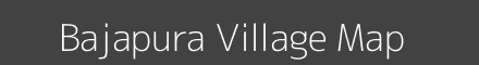 Bajapura village map with survey numbers in Odisha Image