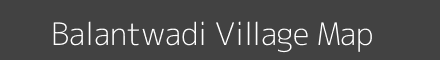 Balantwadi village map with survey numbers in Maharashtra Image