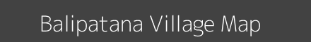 Balipatana village map with survey numbers in Odisha Image