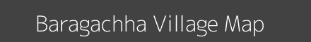 Baragachha village map with survey numbers in Odisha Image