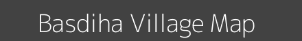 Basdiha village map with survey numbers in Jharkhand Image