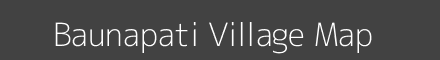 Baunapati village map with survey numbers in Odisha Image