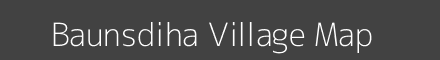 Map of Baunsdiha Village in Odisha Image