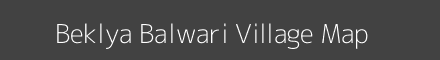 Beklya Balwari village map with survey numbers in Madhya Pradesh Image