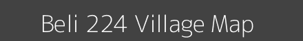 Beli 224 village map with survey numbers in Himachal Pradesh Image