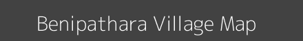 Benipathara village map with survey numbers in Odisha Image