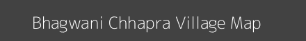 Bhagwani Chhapra village map with survey numbers in Bihar Image