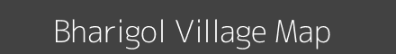 Bharigol village map with survey numbers in Odisha Image