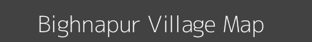 Bighnapur village map with survey numbers in Odisha Image