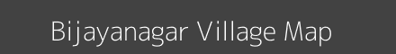 Bijayanagar village map with survey numbers in Odisha Image