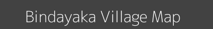 Bindayaka village map with survey numbers in Rajasthan Image